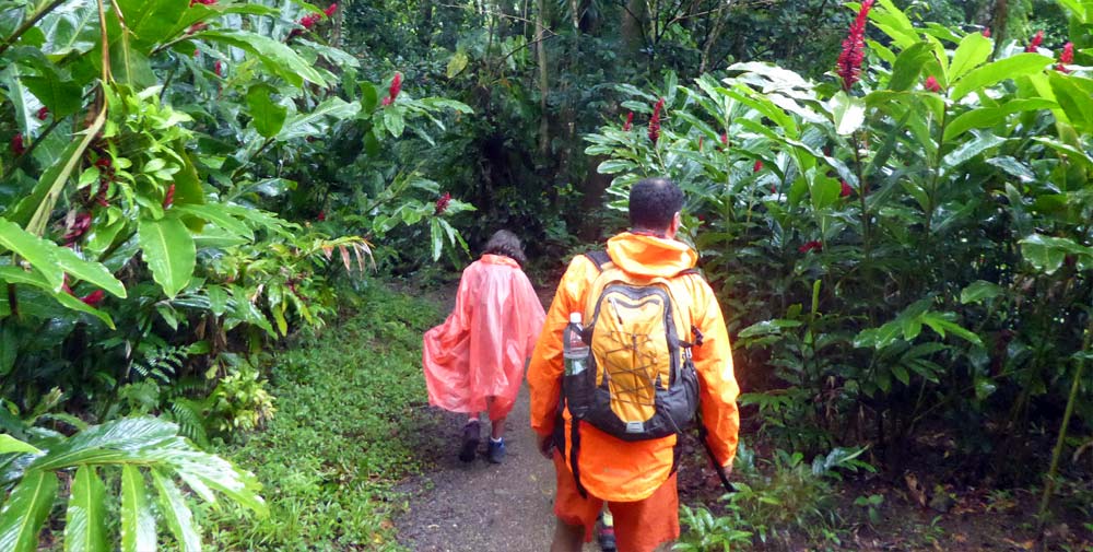 Waitukubuli National Trail